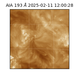 saia - 2025-02-11T12:00:28.843000