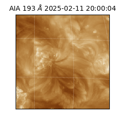 saia - 2025-02-11T20:00:04.843000
