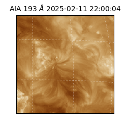 saia - 2025-02-11T22:00:04.847000