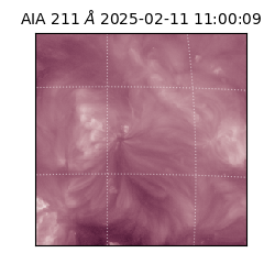 saia - 2025-02-11T11:00:09.626000