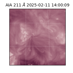 saia - 2025-02-11T14:00:09.625000