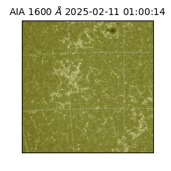 saia - 2025-02-11T01:00:14.125000