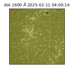 saia - 2025-02-11T04:00:14.125000