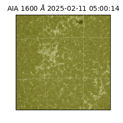 saia - 2025-02-11T05:00:14.126000