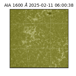 saia - 2025-02-11T06:00:38.125000