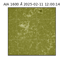 saia - 2025-02-11T12:00:14.126000