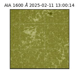 saia - 2025-02-11T13:00:14.118000