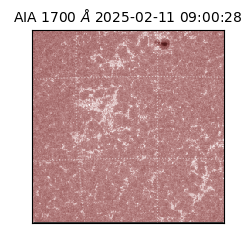 saia - 2025-02-11T09:00:28.717000
