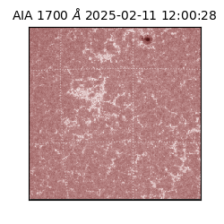 saia - 2025-02-11T12:00:28.718000
