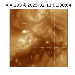 saia - 2025-02-11T01:00:04.843000
