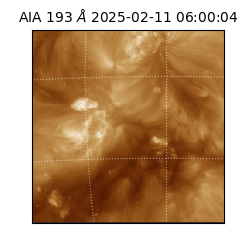 saia - 2025-02-11T06:00:04.843000