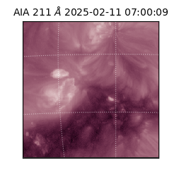 saia - 2025-02-11T07:00:09.626000