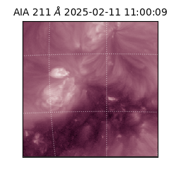 saia - 2025-02-11T11:00:09.626000