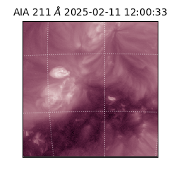 saia - 2025-02-11T12:00:33.629000