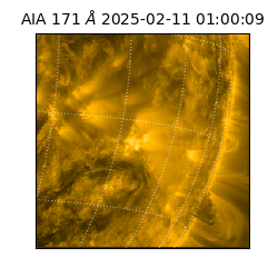 saia - 2025-02-11T01:00:09.350000