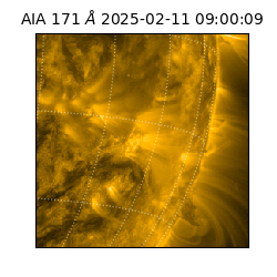 saia - 2025-02-11T09:00:09.350000