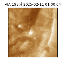 saia - 2025-02-11T01:00:04.843000