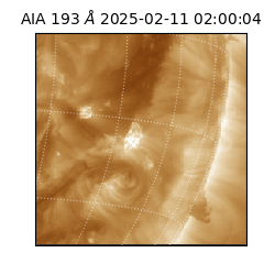 saia - 2025-02-11T02:00:04.843000