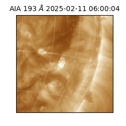 saia - 2025-02-11T06:00:04.843000