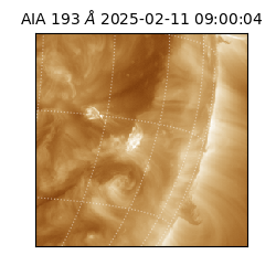 saia - 2025-02-11T09:00:04.843000