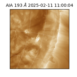 saia - 2025-02-11T11:00:04.843000