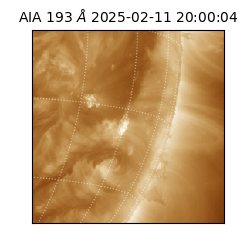 saia - 2025-02-11T20:00:04.843000