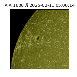 saia - 2025-02-11T05:00:14.126000