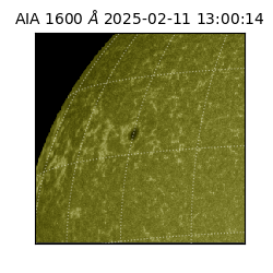 saia - 2025-02-11T13:00:14.118000