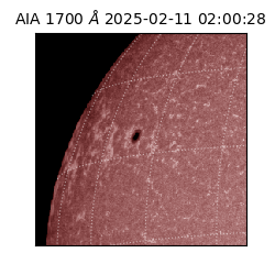 saia - 2025-02-11T02:00:28.717000