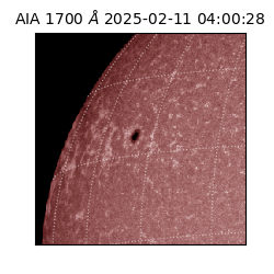 saia - 2025-02-11T04:00:28.717000