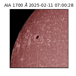 saia - 2025-02-11T07:00:28.719000
