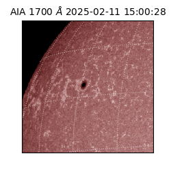 saia - 2025-02-11T15:00:28.718000
