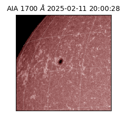 saia - 2025-02-11T20:00:28.718000