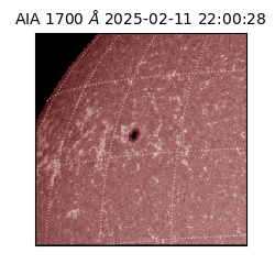 saia - 2025-02-11T22:00:28.717000