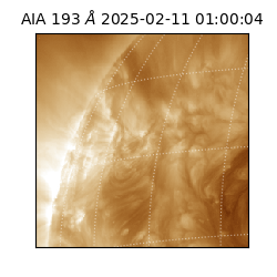 saia - 2025-02-11T01:00:04.843000