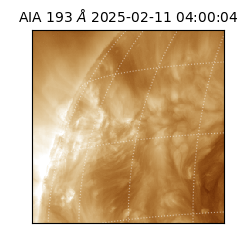 saia - 2025-02-11T04:00:04.843000