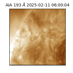 saia - 2025-02-11T06:00:04.843000