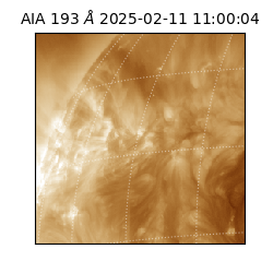 saia - 2025-02-11T11:00:04.843000
