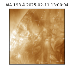saia - 2025-02-11T13:00:04.836000