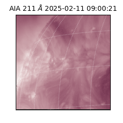 saia - 2025-02-11T09:00:21.625000