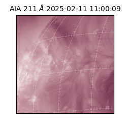 saia - 2025-02-11T11:00:09.626000