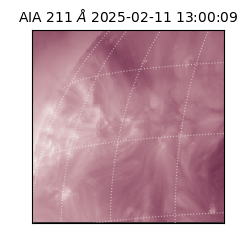 saia - 2025-02-11T13:00:09.618000