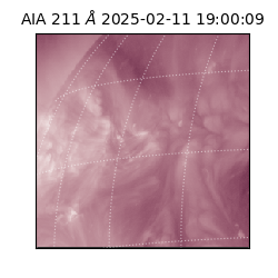 saia - 2025-02-11T19:00:09.626000
