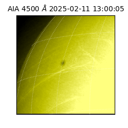 saia - 2025-02-11T13:00:05.955000