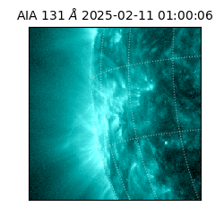 saia - 2025-02-11T01:00:06.622000
