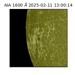 saia - 2025-02-11T13:00:14.118000