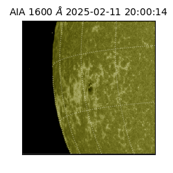 saia - 2025-02-11T20:00:14.126000