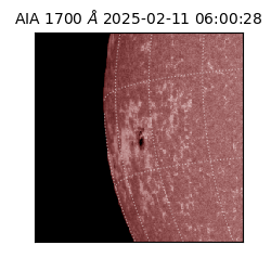 saia - 2025-02-11T06:00:28.743000