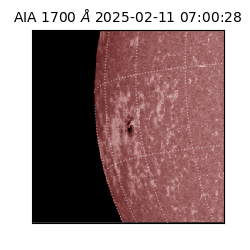 saia - 2025-02-11T07:00:28.719000