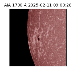 saia - 2025-02-11T09:00:28.717000